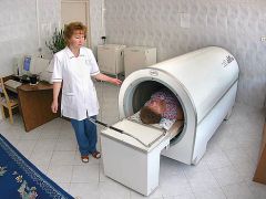 Карагайский бор 