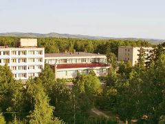 Карагайский бор 