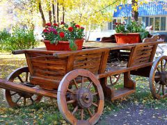 Карагайский бор 