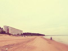 Репино пансионат