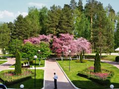 Истра(РОП)