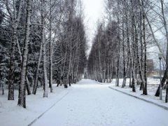 Софрино