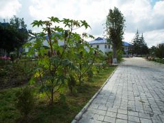 Солнечный берег (Анапа)