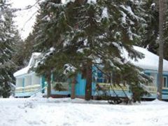 Сокол
