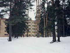 Сокол
