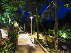 Сосновая роща Project Park 