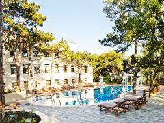 Сосновая роща Project Park 