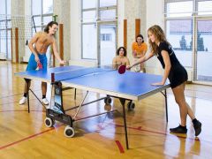 Сосновая роща Project Park 