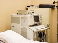 Сосновая роща Project Park 