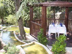 Сосновая роща Project Park 