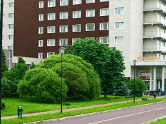 Катерина Парк (Москва)