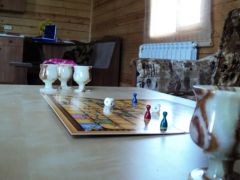 FUN FOREST