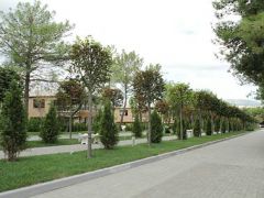 Кемпински Гранд Отель Геленджик