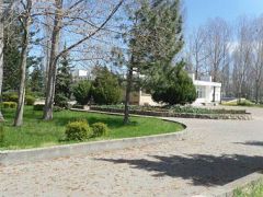 Россиянка (Анана)                                                                                   