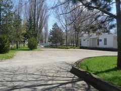 Россиянка (Анана)                                                                                   