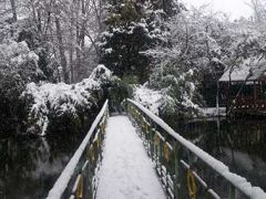 Озеро Дивное