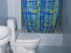 Морской конёк 