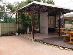 Морской конёк 