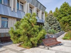 Мечта (Анапа)