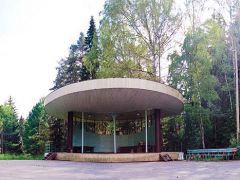 Солнечная поляна