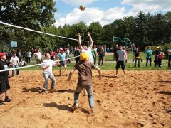 Солнечная поляна