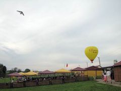 Солнечная поляна