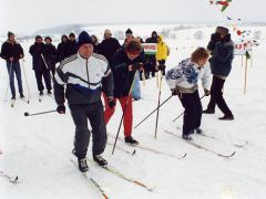 Солнечная поляна