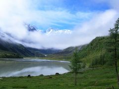 Алтай Резорт