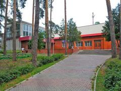 Сосны
