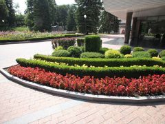 Санаторий Дубовая Роща, г.Железноводск