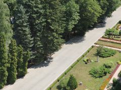 Санаторий Дубовая Роща, г.Железноводск