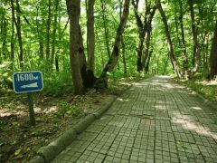 Санаторий Дубовая Роща, г.Железноводск