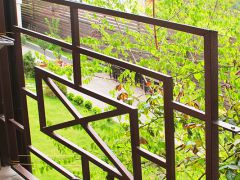 Лето (Коктебель)