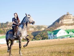 Адиюх-Пэлас, гостиница