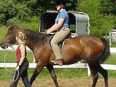 Ателика Липки