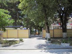 Эдельвейс