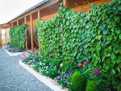 Новый Океан