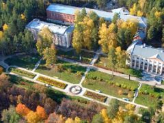 Сосновая горка 