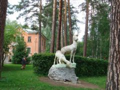 Сосновая горка 
