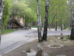 Сосновая горка 