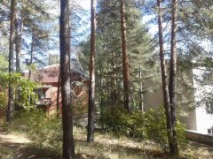 Сосновая горка 