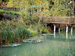 Пансионат Салынь