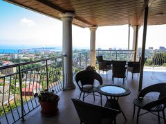 РОЗА ВЕТРОВ