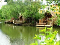 Holiday Тропикана