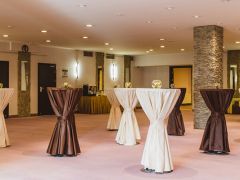 Holiday INN Vinogradovo