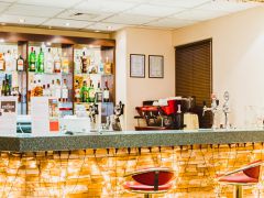 Holiday INN Vinogradovo