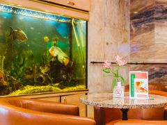 Holiday INN Vinogradovo