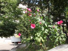им. Лермонтова (Пятигорск)