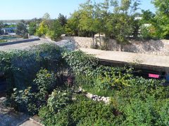 Муссон(Оленевка)