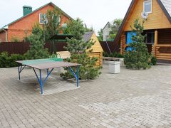 Вербена 